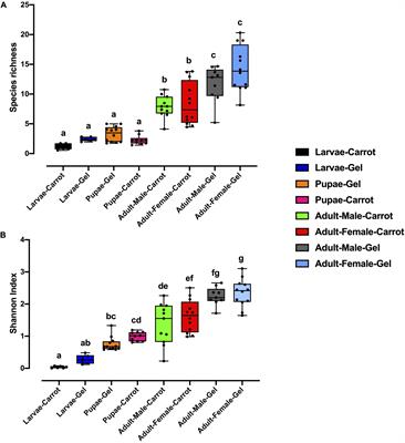 Artificial Larval Diet Mediates the Microbiome of Queensland Fruit Fly